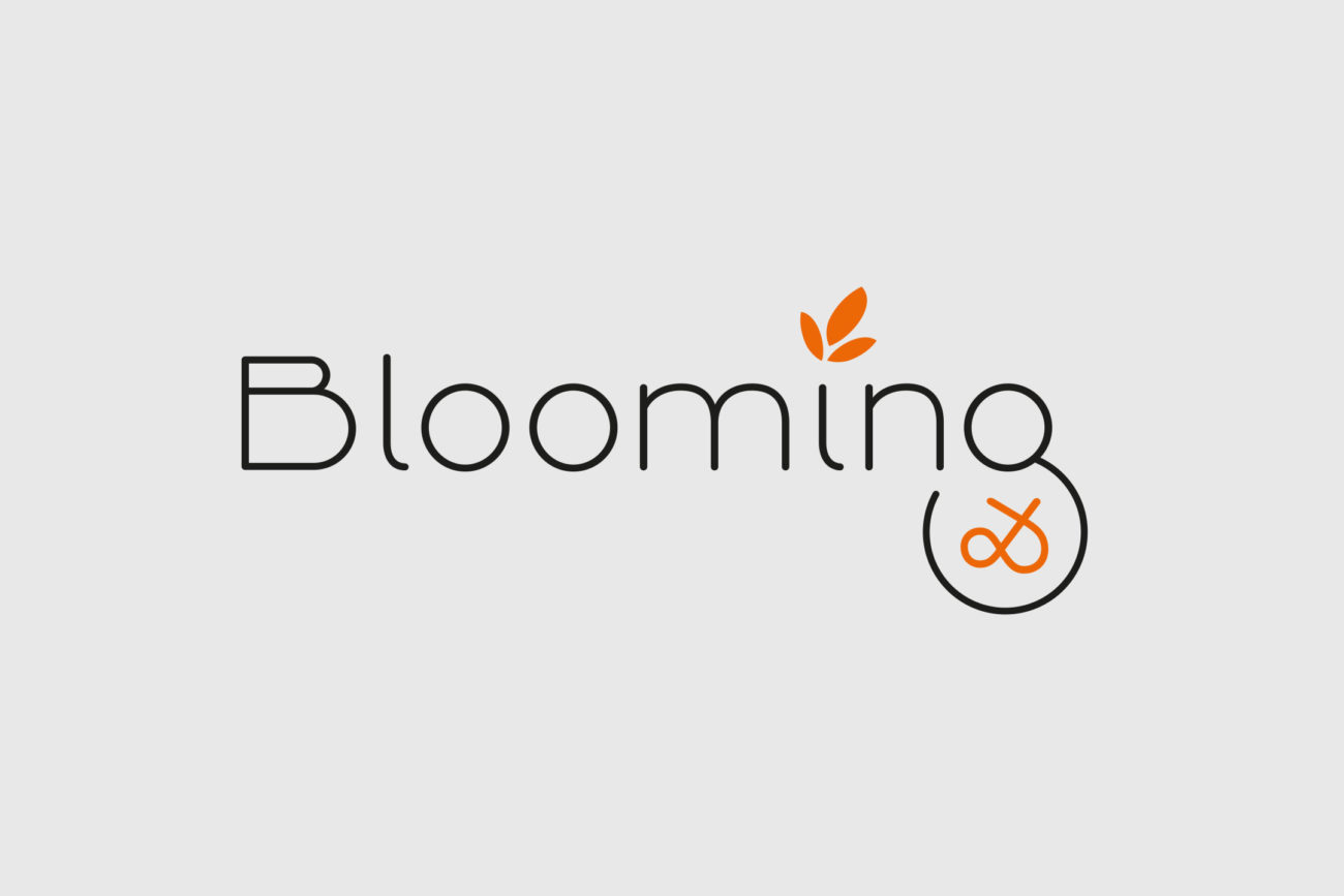 Coaching professionnel